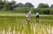 27-Year-Old Farmer Allegedly Commits Suicide In Madhya Pradesh